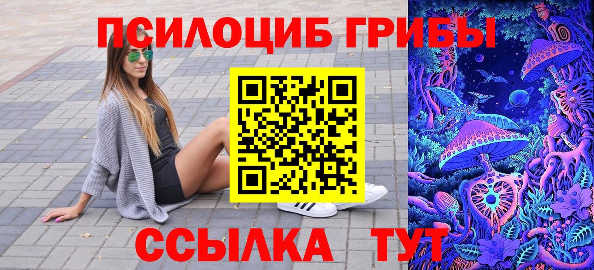 Псилоцибиновые грибы MAGIC MUSHROOMS  наркота  Вход с VPN  Губаха  Псилоцибиновые грибы Psilocybine cubensis 